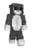 Noyll Minecraft avatar full body