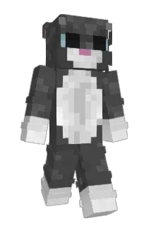 Noyll Minecraft avatar full body