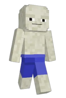 Nozin_ Minecraft avatar full body