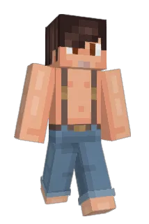 Nrf443 Minecraft avatar full body