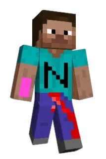 Nrfun Minecraft avatar full body