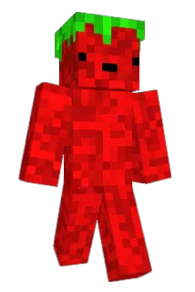 Nugget1134 Minecraft avatar full body