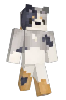 Nuibit Minecraft avatar full body