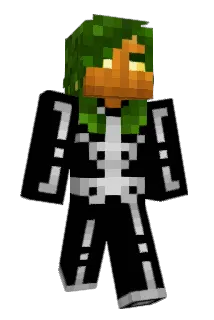 NumerousNachos Minecraft avatar full body