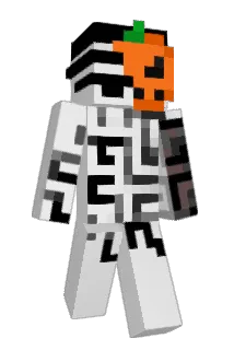 NvllPlayer Minecraft avatar full body