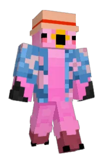 Nwsn Minecraft avatar full body