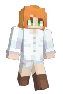 NxMa14 Minecraft avatar full body