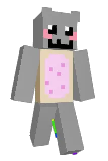 NyanCat738 Minecraft avatar full body