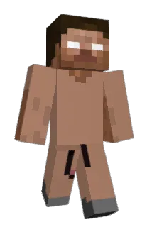 Nyelesfing Minecraft avatar full body