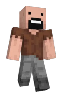 Nzollner Minecraft avatar full body