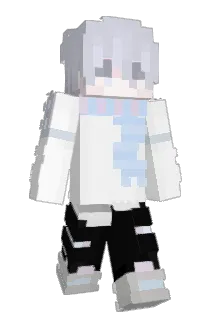 Nzva Minecraft avatar full body