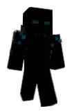 O2O1 Minecraft avatar full body