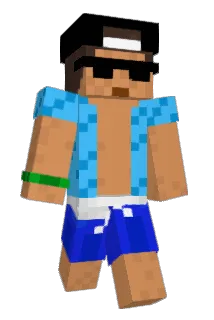 OADINC Minecraft avatar full body