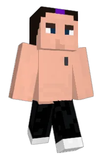 OAR1221 Minecraft avatar full body