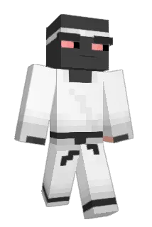 OBOA Minecraft avatar full body