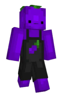 OFIRNAVE Minecraft avatar full body