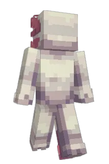 OLMfin Minecraft avatar full body