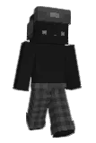 OLVR_A Minecraft avatar full body