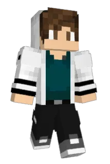 OMGtardis Minecraft avatar full body