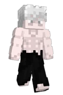 ONE4ALL Minecraft avatar full body