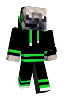 OSK_Pug Minecraft avatar full body