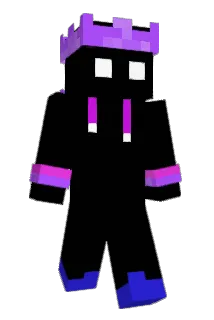 OT29 Minecraft avatar full body