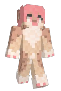 Octoless Minecraft avatar full body