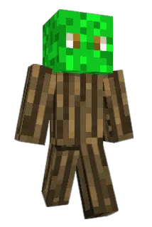 Oelbam Minecraft avatar full body