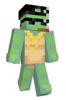 OgPimpTurtle Minecraft avatar full body