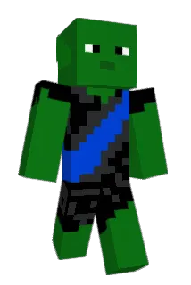 Oga110 Minecraft avatar full body