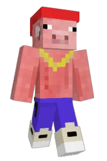 OiNkks Minecraft avatar full body