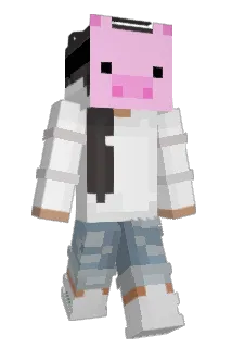 Oink0inkpig Minecraft avatar full body