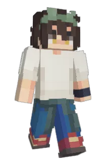 Okaylon Minecraft avatar full body