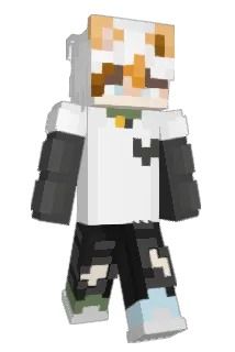 Oktoplushi Minecraft avatar full body
