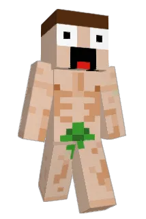 OldSockDrawer Minecraft avatar full body