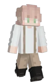 Old_Took Minecraft avatar full body