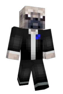 OllieT043 Minecraft avatar full body