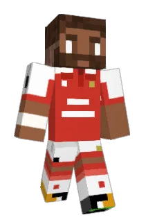 Omnicopter1 Minecraft avatar full body