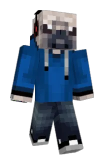 OnGoGoJuice Minecraft avatar full body