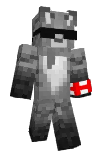 OneGrayCat Minecraft avatar full body