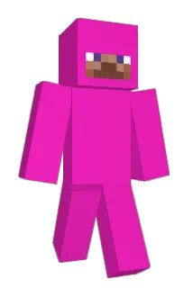 OneVerseWonder Minecraft avatar full body
