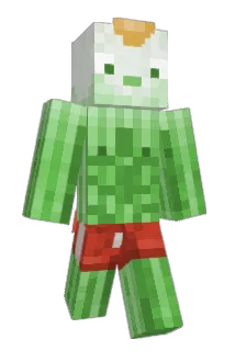 Onion_Boy_ Minecraft avatar full body