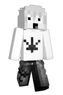 Only_Open Minecraft avatar full body