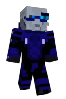 Onoisam Minecraft avatar full body