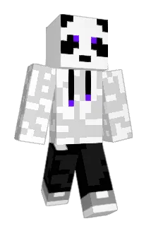 Opacitii Minecraft avatar full body