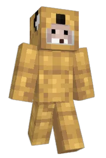 Opinsoppy Minecraft avatar full body