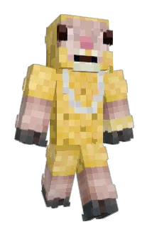 Orange845 Minecraft avatar full body