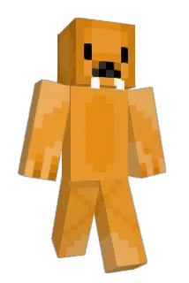 OrangeSeal2020 Minecraft avatar full body