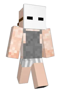 Orangenanimation Minecraft avatar full body