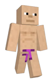 Orler Minecraft avatar full body